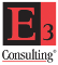 E3 Consulting