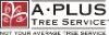 A Plus Tree, Inc