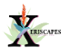 Xeriscapes Unlimited