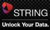 String Automotive