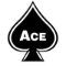 Ace Exterminating Co. Inc.