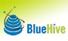 BlueHive Strategic Environments