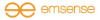 EmSense Corporation