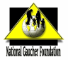 National Gaucher Foundation