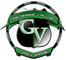 Genesee Valley Central School