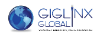 GIGLINX Global, Inc.