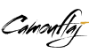 Camouflaj game studio