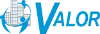 Valor Global Executive Search