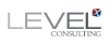 Level X Consulting