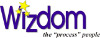 Wizdom Systems Inc