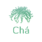 Cha Inc