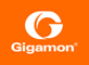 Gigamon, Inc.