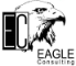 Eagle Consulting, LLC