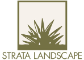 Strata Landscape