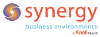 Synergy Business Environments