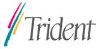 Trident Microsystems