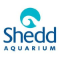 Shedd Aquarium