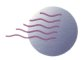 Datastorm Technologies, Inc.
