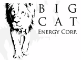 Big Cat Energy Corp