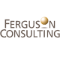 Ferguson Consulting Inc