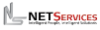 NetServices, LLC