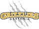 Gastonia Grizzlies