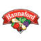 Hannaford Supermarkets