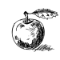 Shabby Apple