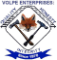 Volpe Enterprises, Inc.