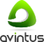 Avintus