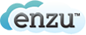 Enzu Inc.