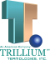 Trillium Teamologies