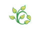 Buffalo Olmsted Parks Conservancy