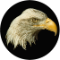 Institute for Wildlife Studies