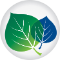 American Society of PeriAnesthesia Nurses