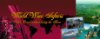 World Wine Safaris