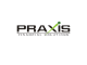 Praxis Financial Solutions, Inc