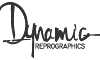 Dynamic Reprographics, Inc.