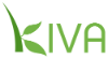 Kiva.org