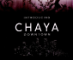 Chaya Downtown