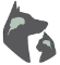 Southeast Veterinary Neurology