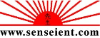 Sensei Enterprises