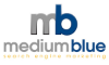 Medium Blue Search Engine Marketing