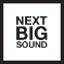 Next Big Sound, Inc.