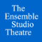 Ensemble Studio Theatre