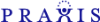Praxis Computing, Inc.