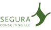 SEGURA Consulting LLC