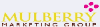 Mulberry Marketing Group