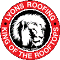 Lyons Roofing