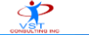 VST Consulting Inc